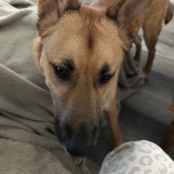 Meet your Posher, Heather - Picture 1 of 1